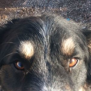 Meet your Posher, Jack